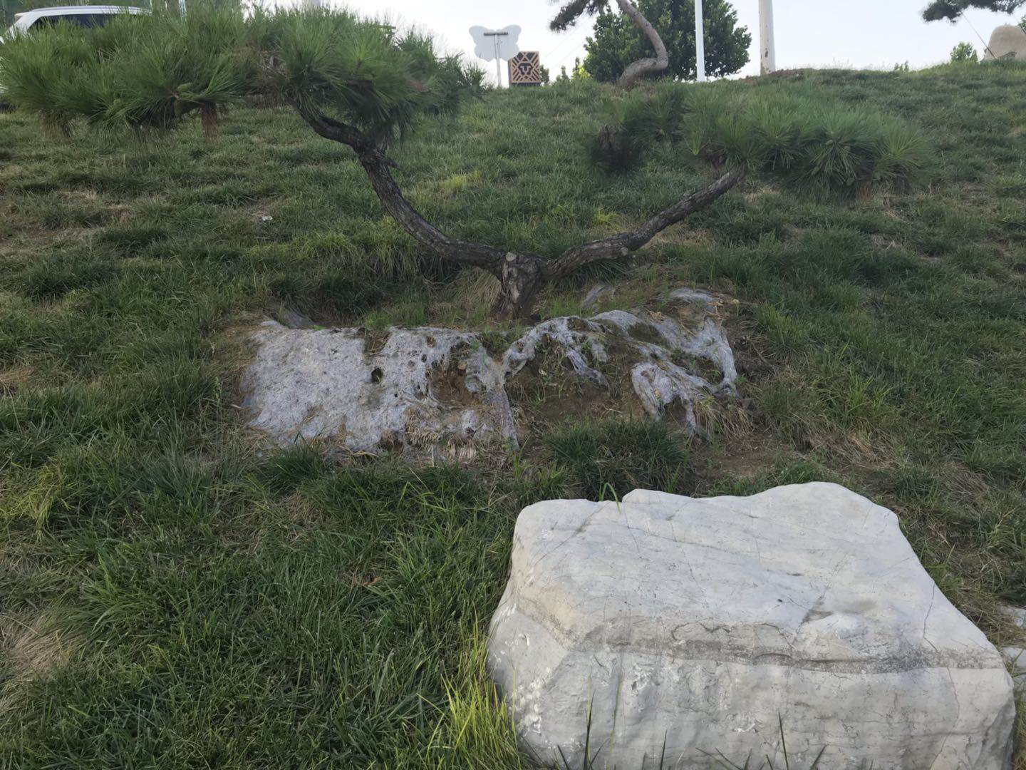 工地实景案例